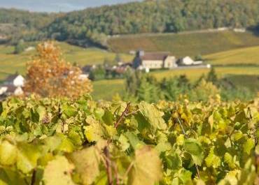 Une journée en Champagne