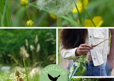 Parcours comestibles