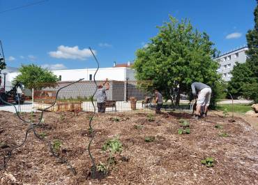Structures métalliques - jardin permaculture