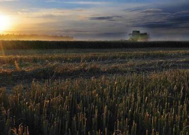 51R-VP-1R-Palaiseau-DSC_6611+c+_1224x829